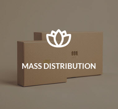 Mass Distribution